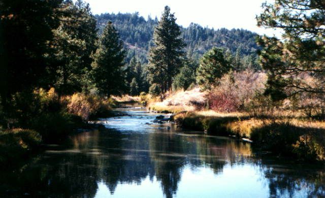 Drews_creek,_fremont_national_forest_oregon By USDA Forest Service via Wikimedia Commons