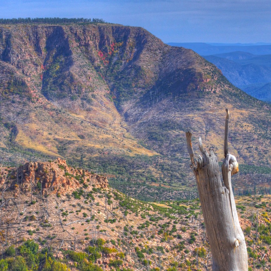 Mogollon_Rim_east_of_Pine By Kevin Dooley from Chander, AZ, USA (Mogollon Rim  Uploaded by PDTillman) [CC BY 2.0 (http://creativecommons.org/licenses/by/2.0)], via Wikimedia Commons