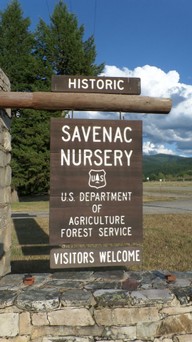 Savenac.jpg by Erika Karuzas, US Forest Service