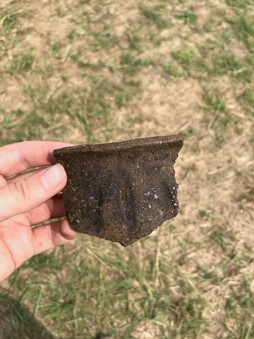 Sherd photo by Madeleine McLeester